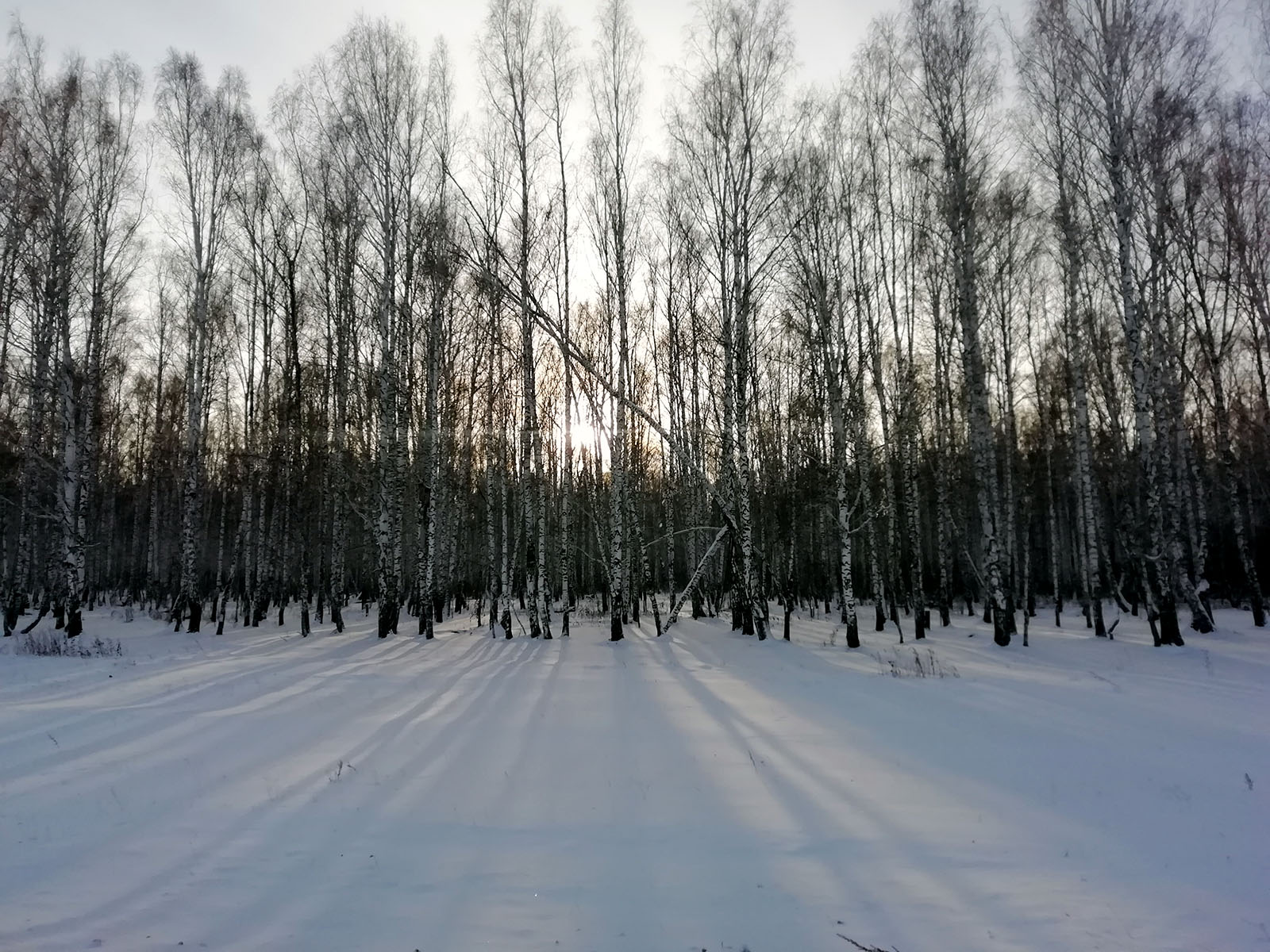 berezki
